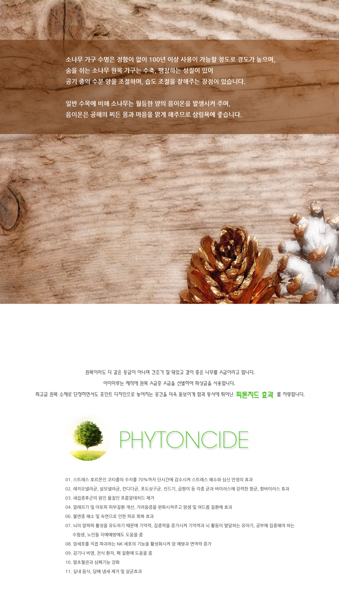 pine_phytoncide2.jpg